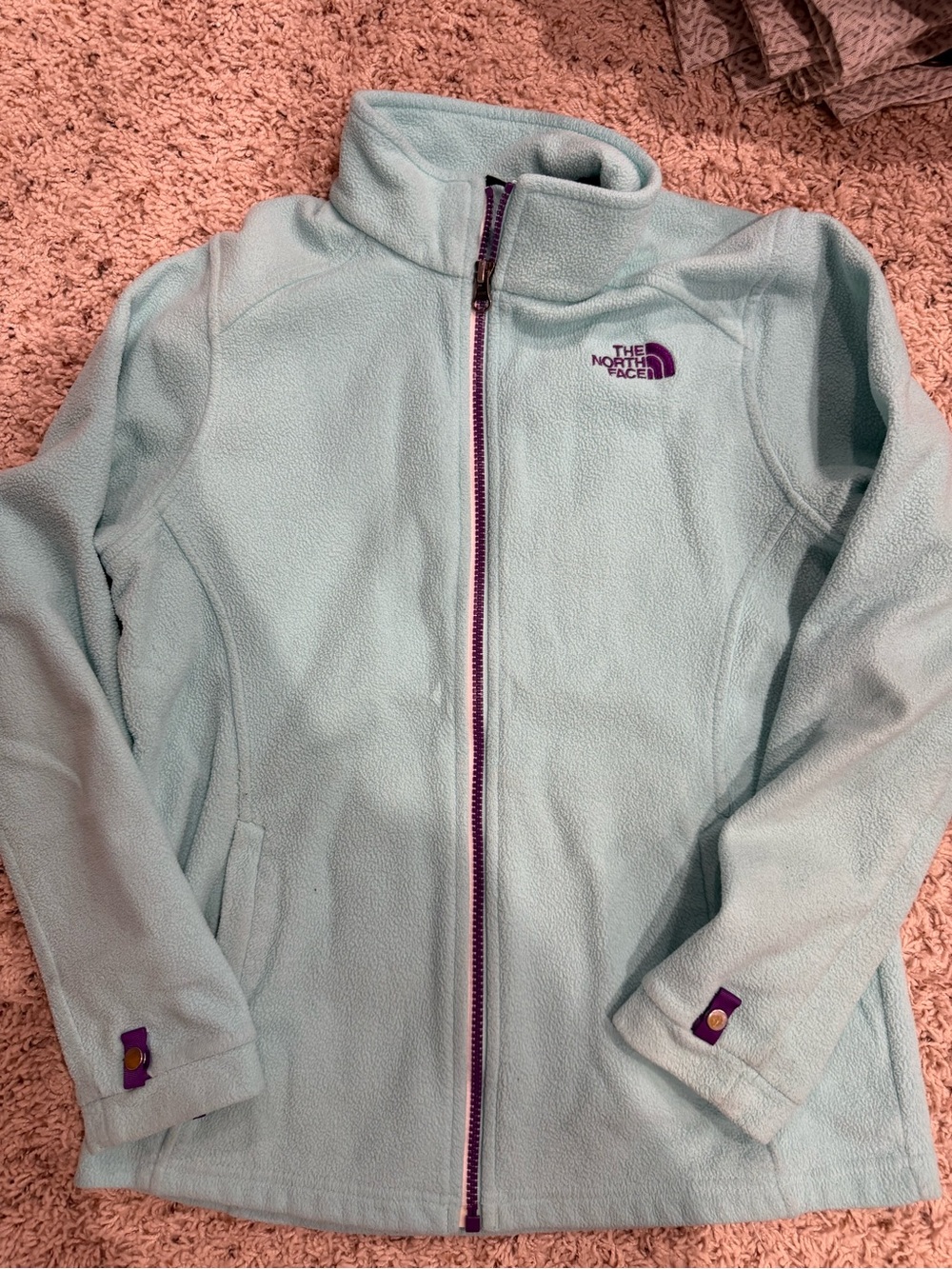 The North Face Light Blue Fleece Jacket with Purple Accents